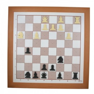 Satranç Eğitim Panosu