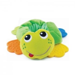 DİŞ KAŞIYICILI BİLEKLİK KURBAĞA