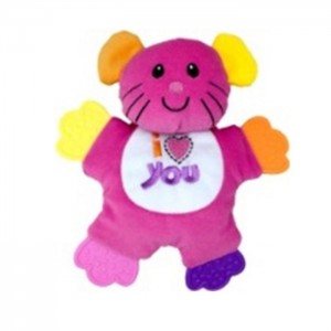 DİŞ KAŞIYICILI SEVİMLİ KEDİ