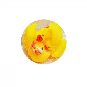 ÖRDEK VİNİL FİLEDE